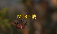 MTB下坡